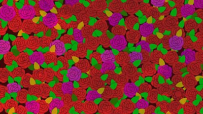 Optical Illusion: Only a sharp-eyed person can spot the red ruby among roses