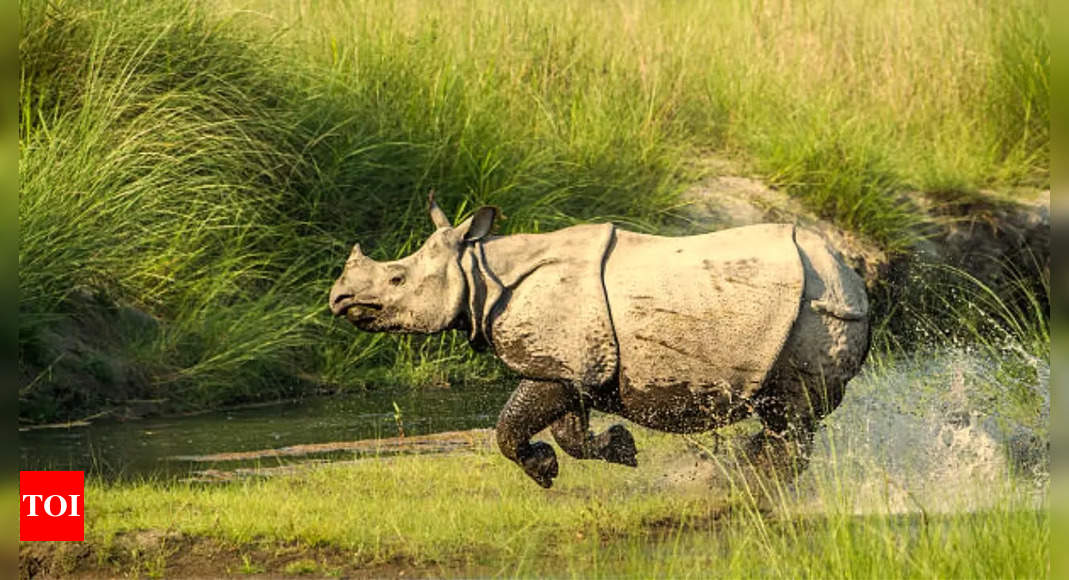 Bardiya National Park: A must-visit destination for wildlife enthusiasts