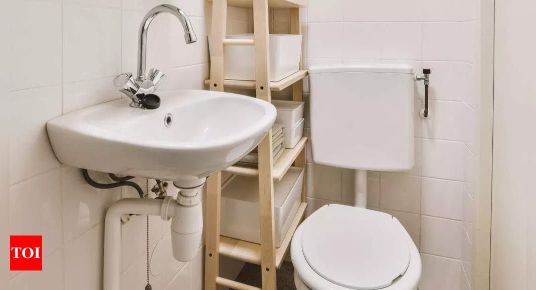 Watch: This 3-foot bathroom costs Rs 1.7 lakh rent in this city; here's why