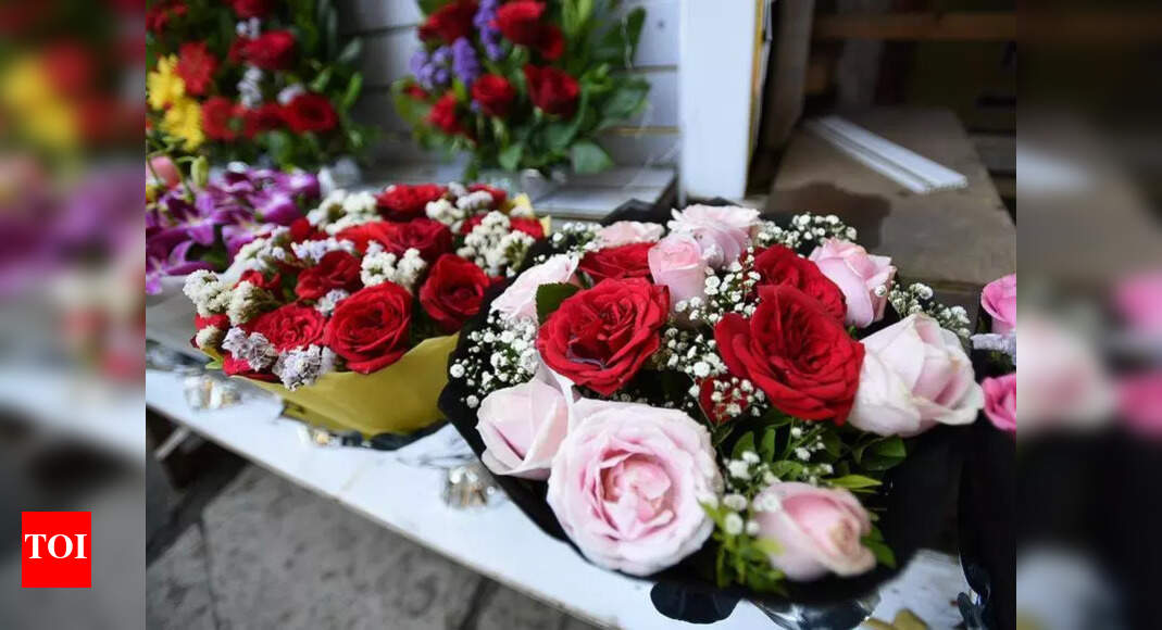 This Valentine’s Week, the world is saying it all with Bengaluru roses | Bengaluru News - The Times of India