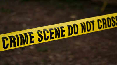 4-year-old girl video-calls grandma, says 'papa hung mom'; Ghaziabad techie detained