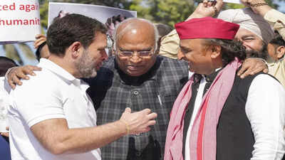 Photo of Mallikarjun Kharge, Rahul Gandhi and Akhilesh Yadav in a 'warm moment' goes viral