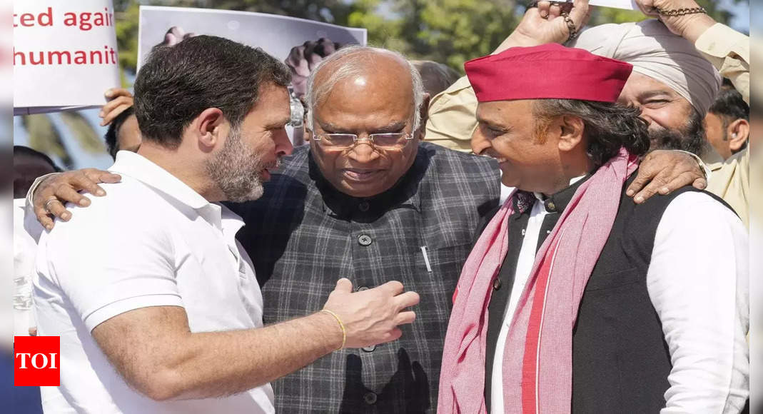 Photo of Mallikarjun Kharge, Rahul Gandhi and Akhilesh Yadav in a 'warm moment' goes viral