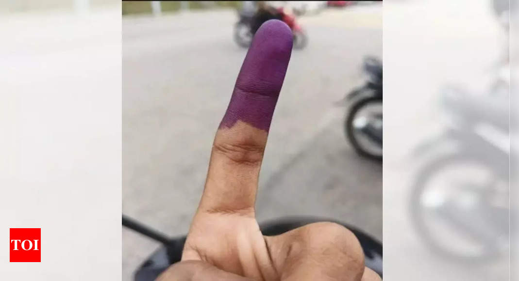 “Agle 50 saal ka vote ek hi baar me daal ke aa gye kya?”: Delhi voter shows off inked finger and goes viral