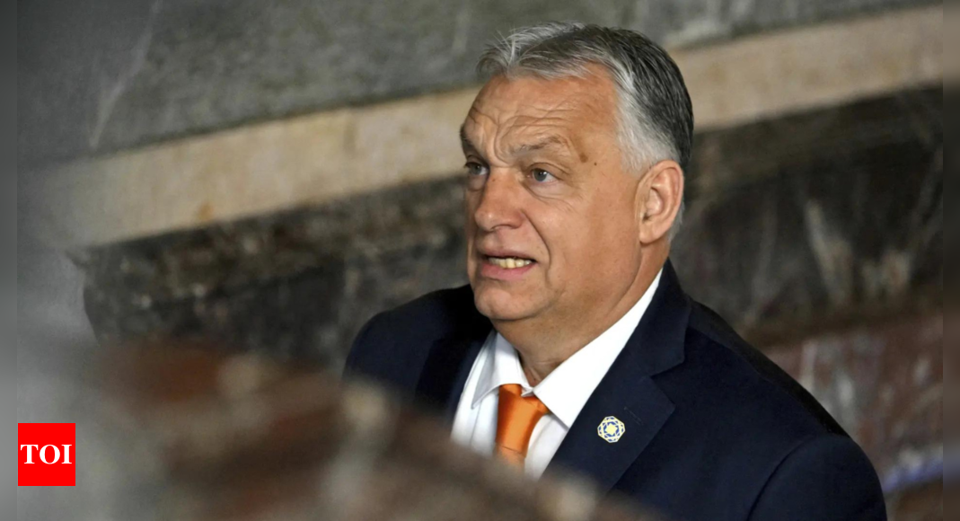 Hungary’s Orban says he will do away with pro-democracy and rights groups receiving US aid – The Times of India