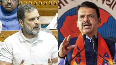 'When same joke is cracked repeatedly, nobody laughs': Devendra Fadnavis hits back at Rahul Gandhi over voter list charge