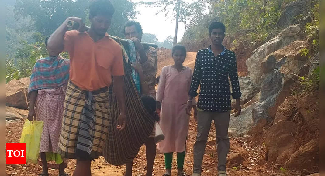 Pregnant woman carried in doli for 3 km due to lack of road connectivity in Andhra Pradesh's ASR district