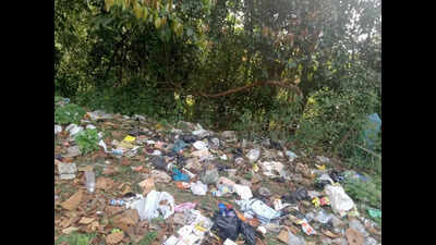 Garbage heaps mar C’magaluru’s scenic routes