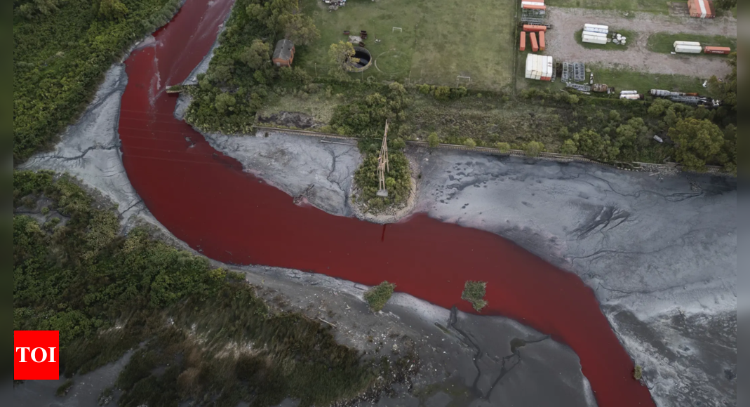 ‘It looks like a stream of blood.’ A river near Buenos Aires turns red, sparking fears of toxic leak – The Times of India