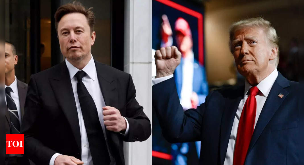 Elon Musk calls Donald Trump the 'Greatest President Ever' as he says 'Back to Plastic'