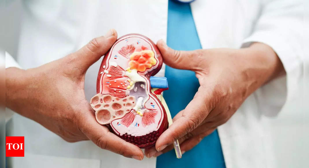 How to get rid of kidney infection, kidney problems, and common tests to check