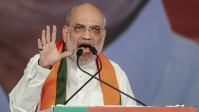 End to reign of lies, deceit; start of new era of development: Amit Shah on Delhi poll results