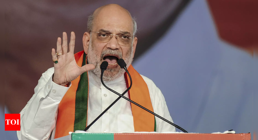 End to reign of lies, deceit; start of new era of development: Amit Shah on Delhi poll results