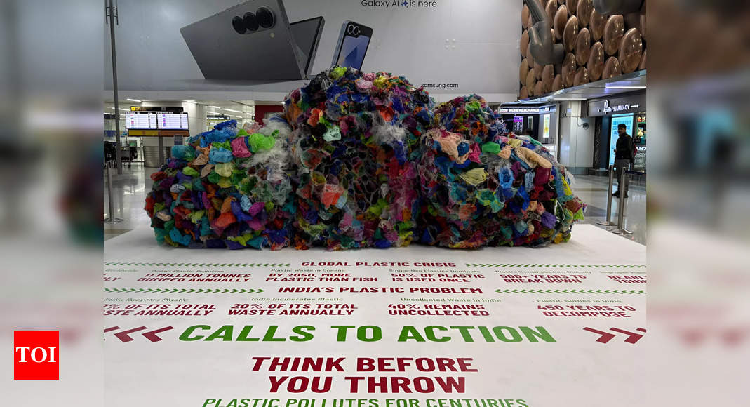 Think before you throw: Installation at Delhi airport calls for urgent need for waste reduction