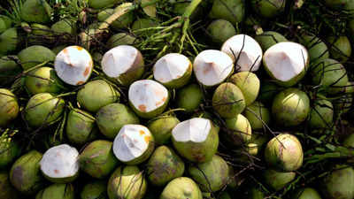 Coconut vendor's advice to a woman in Mumbai's rush is priceless