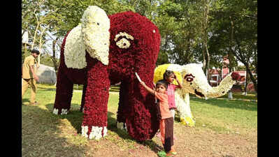 Covai Flower Show Begins At TNAU’s botanical garden