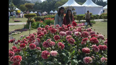 Greater Noida to host 3-day flower festival from February 28