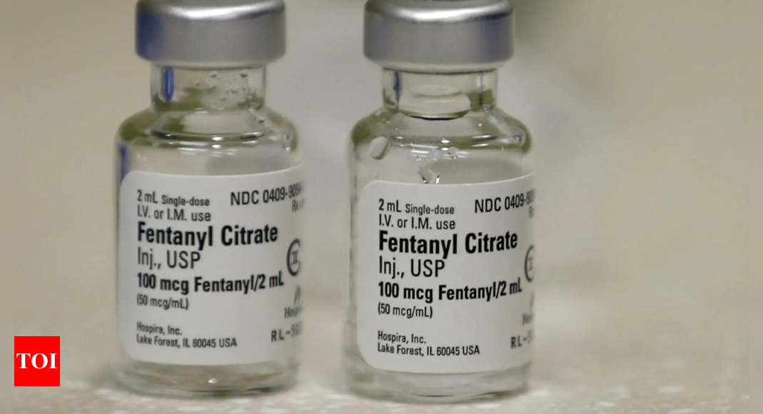 In 2024, US seized 19kg of fentanyl from Canada border; 9,600kg from Mexico