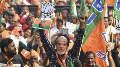 Delhi assembly election results 2025: What worked for BJP and what did not for AAP?