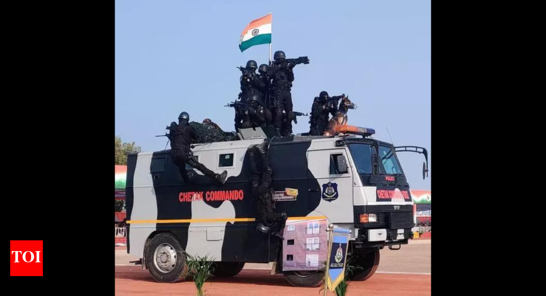 Gujarat’s K9 power rangers | Ahmedabad News - The Times of India