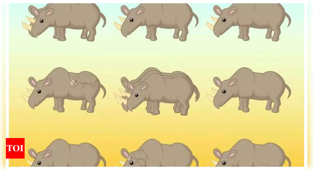 Optical illusion: Can you count how many rhinos are in the picture in 10 seconds?