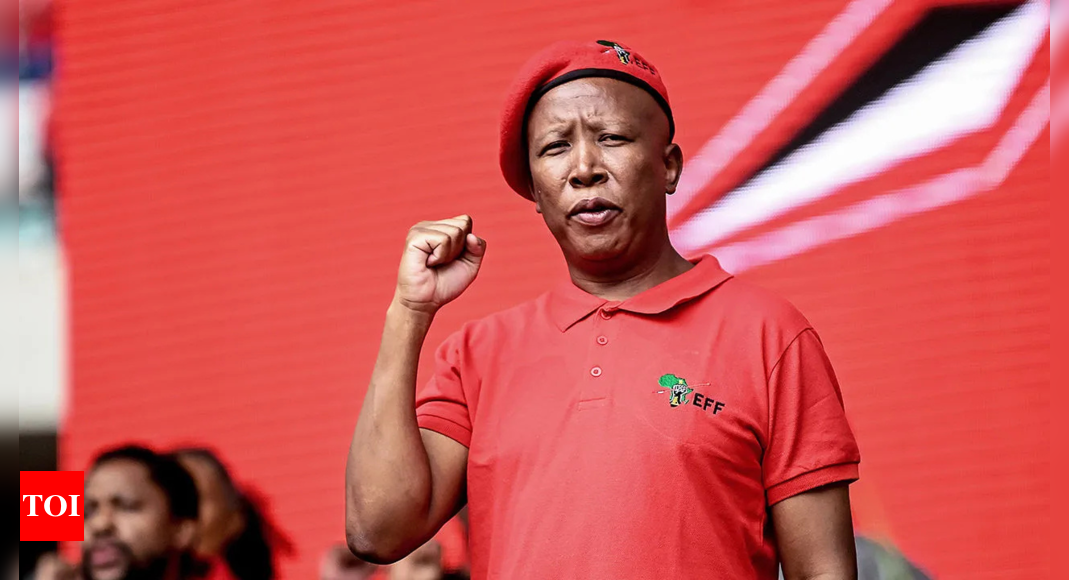 Who is Julius Malema, South African politician calling to kill white people