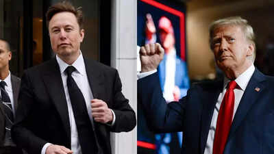 Musk will help uncover 'hundreds of billions' in US govt fraud: Trump - The  Times of India