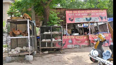 GHMC cracks down on meat shops for open trash dumping