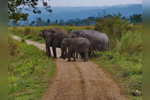 10 best ecotourism destinations in India perfect for February