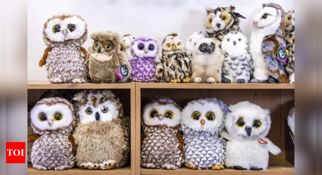 Optical illusion: Only a person with perfect eyesight can spot the real owl in 7 seconds