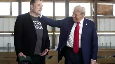 Donald Trump reveals how much he trusts Elon Musk and why: 'In fact...'