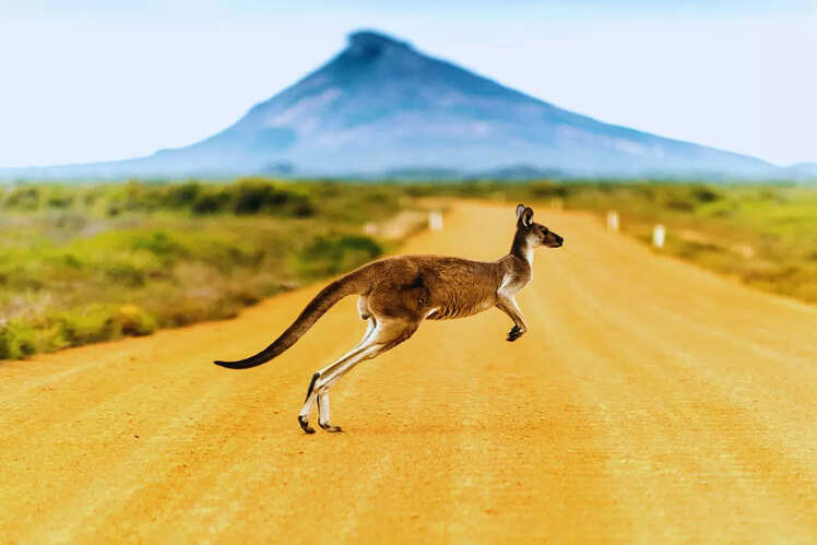 Australia (2)