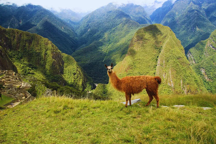 South America