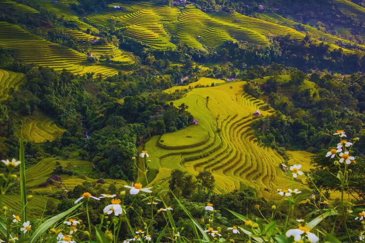 Asia