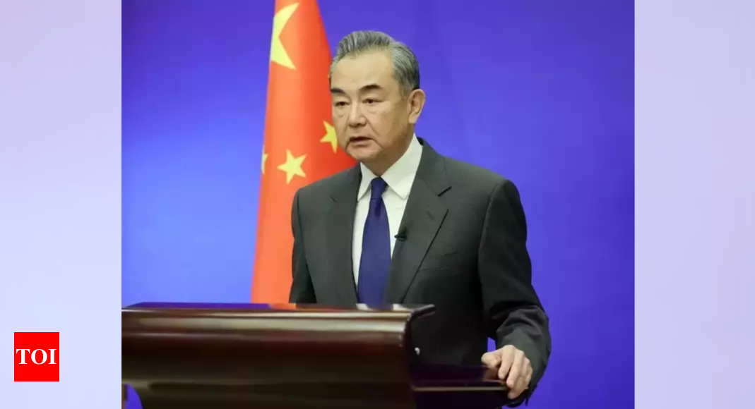 China FM to visit Europe, US before G20 talks in South Africa