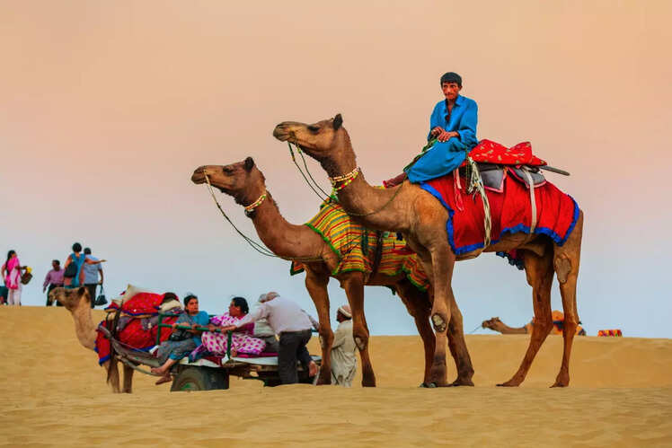 Camel safari and camping under the stars