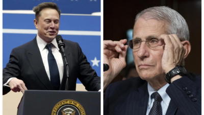 Elon Musk cancels Fauci museum exhibit: 'Can you believe your taxpayer dollars...'