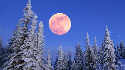 Snow Moon 2025: February's full moon on Valentine's Day – Know the date, time, origin and significance