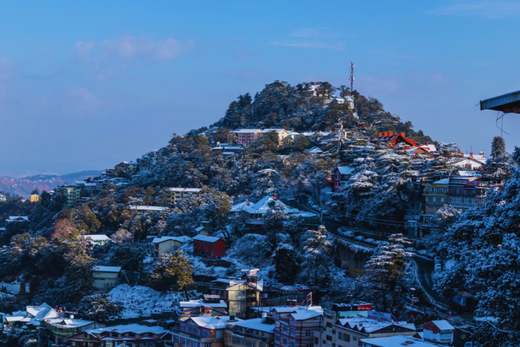 Shimla