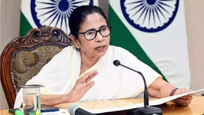 Mamata says TMC to fight solo in 2026 Bengal polls, Cong hits back over 'panic' reaction