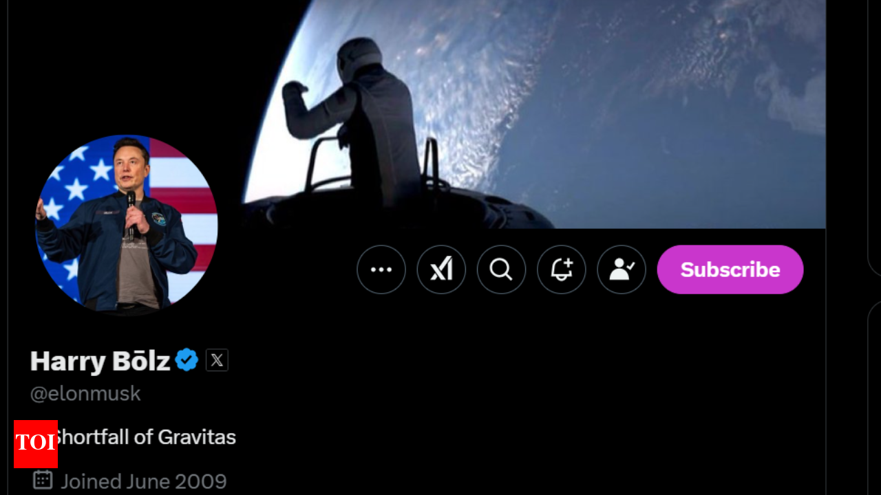 Harry Bolz Meaning: Elon Musk changes his X (formerly Twitter) profile name  to Harry Bolz: What does it mean? | World News - The Times of India