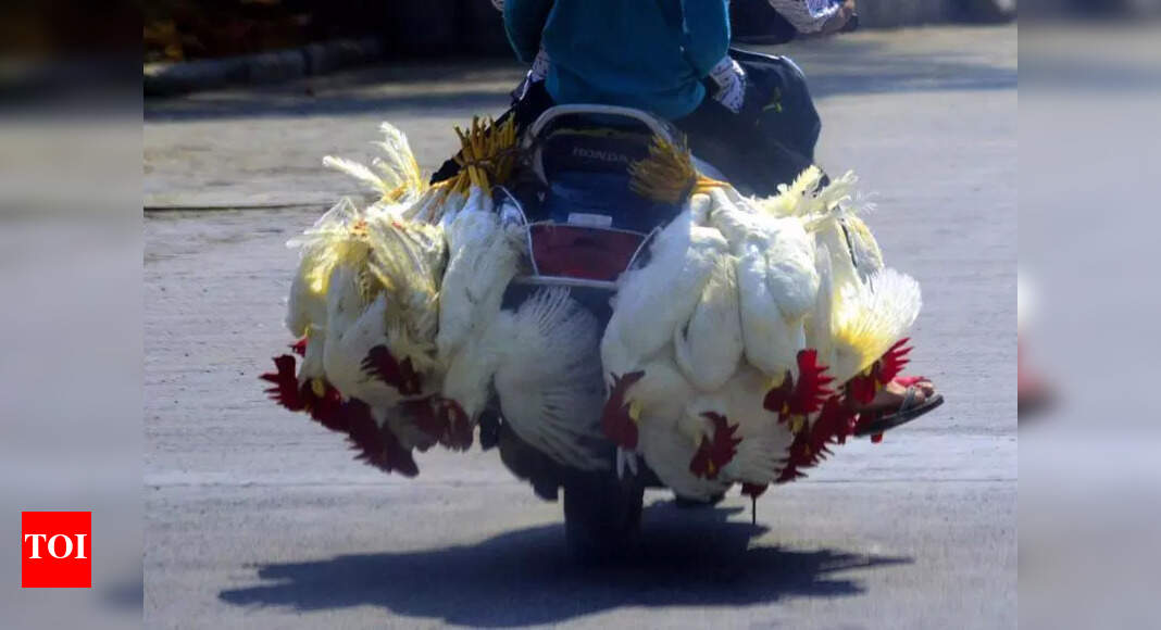 State govt cautions poultry farmers after bird flu outbreak in AP ...