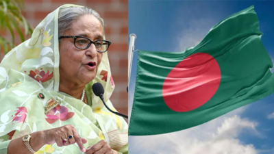 Sheikh Hasina's government committed ‘crimes against humanity’ to retain power in Bangladesh, says UN