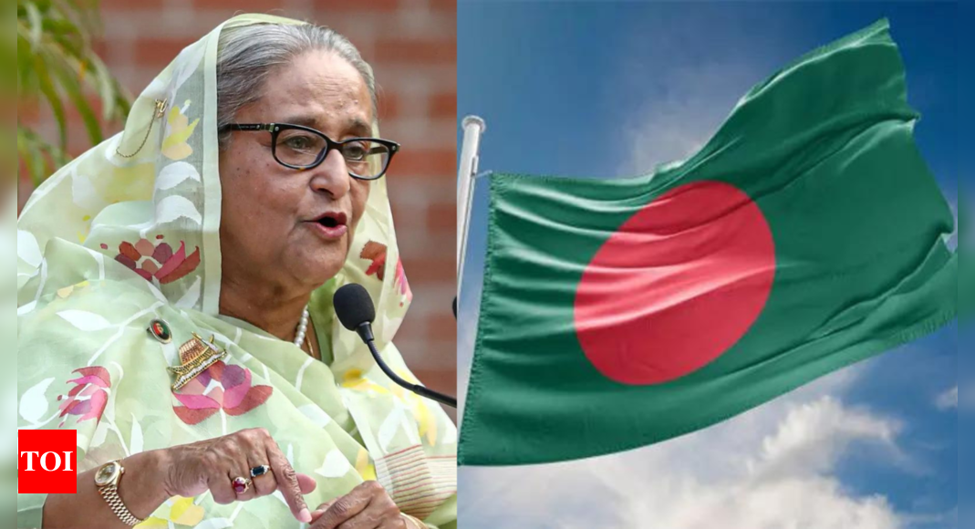 Sheikh Hasina's govt committed ‘crimes against humanity’ in B'Desh: UN