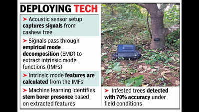 Old Goa-based ICAR-CCARI’s invention uses acoustics to find hiding cashew pest
