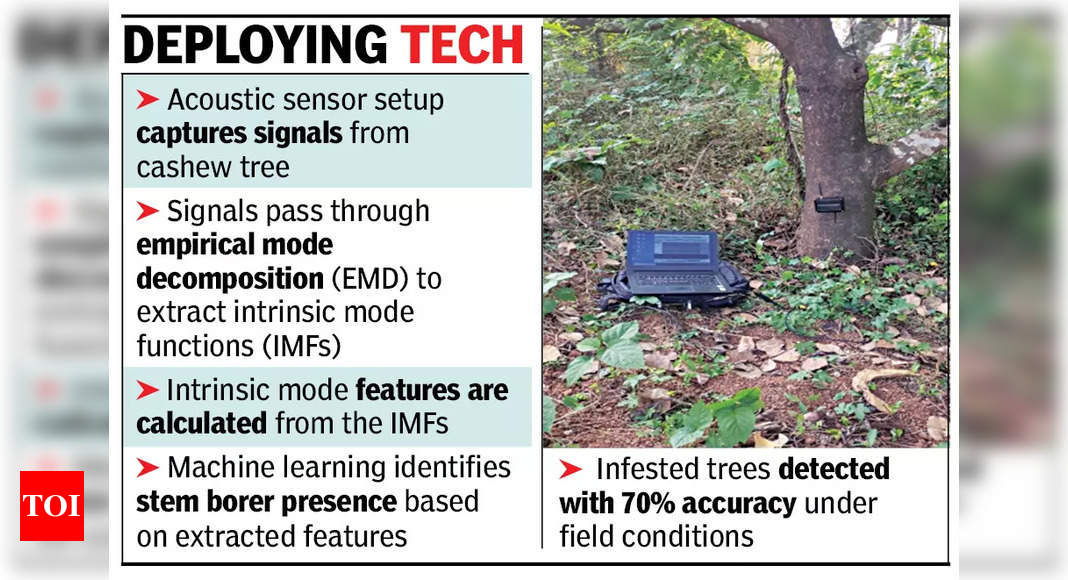 Old Goa-based ICAR-CCARI’s invention uses acoustics to find hiding cashew pest