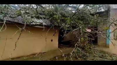Unseasonal rain, storm wreaks havoc in Dibrugarh and Tinsukia districts, power hit