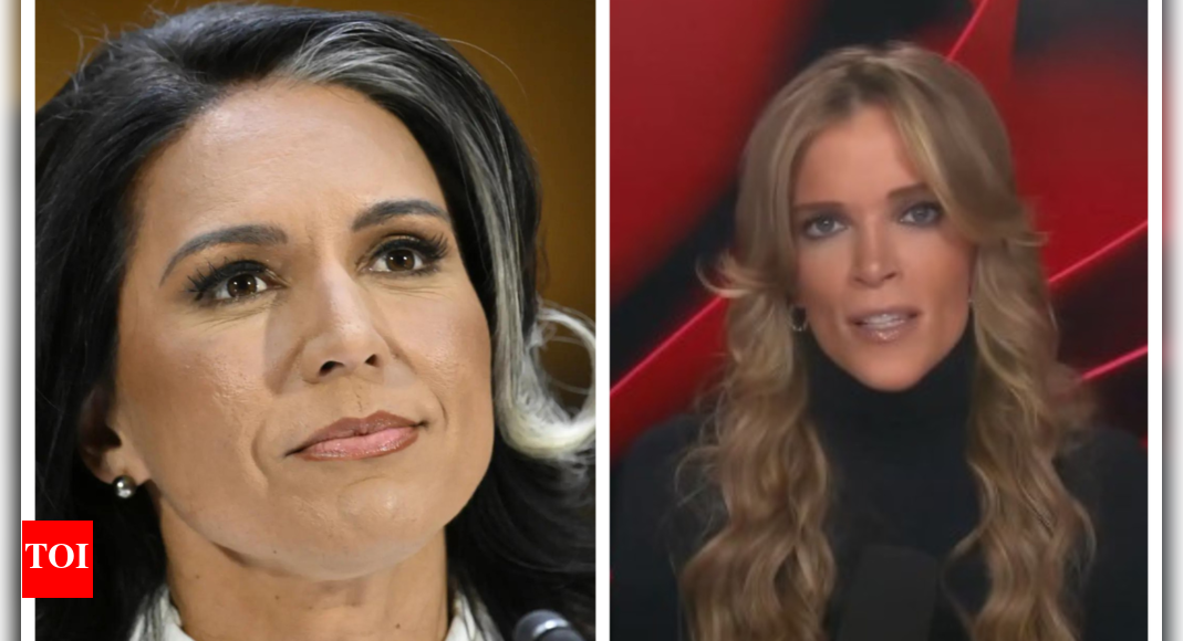 Megyn Kelly says Tulsi Gabbard's confirmation hearing was difficult only because...