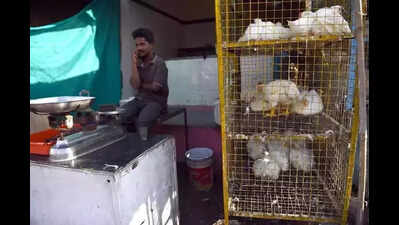 Chicken sales see sharp decline across Andhra Pradesh