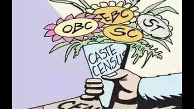 Caste survey: BC intellectuals, groups call for public access